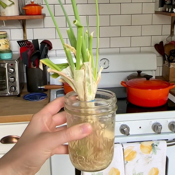 Eco-Friendly Kitchen Hacks - FD Market