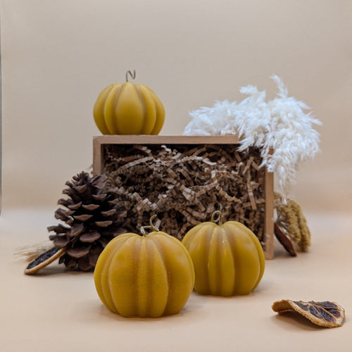 Pumpkin Beeswax Candle - FD Market